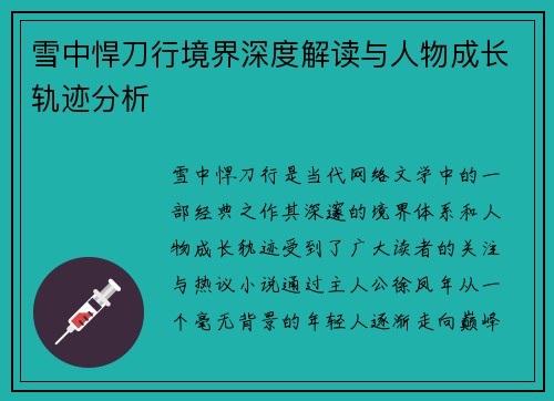 雪中悍刀行境界深度解读与人物成长轨迹分析